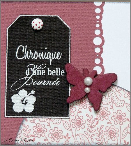P1090189 copie