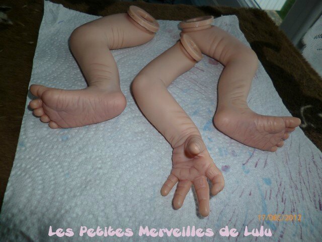Les blessures de la varicosité de la photo