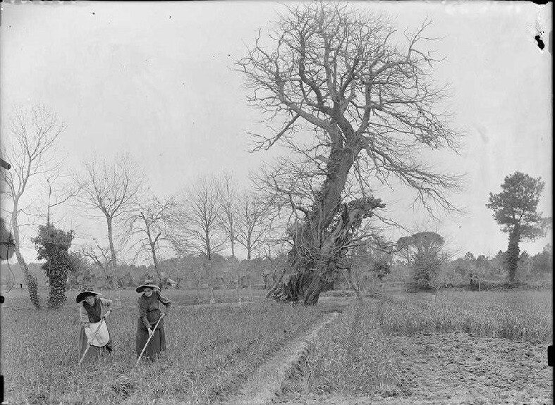 ob_76aec9_2015-04-21-195535-arnaudin-joconde-mus