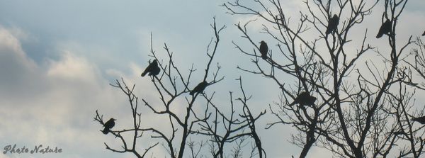 IMG_0156