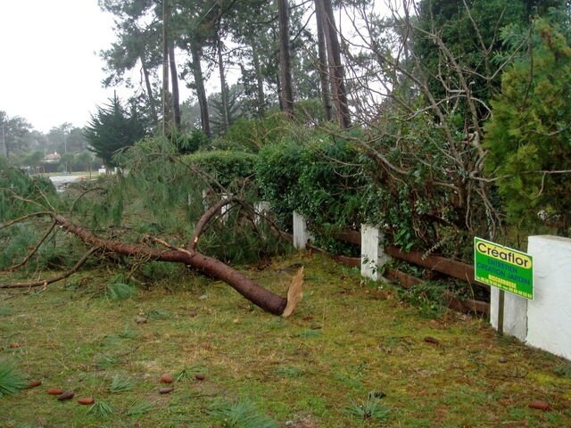 Photo-degats-vents-tempete-biscarosse-plage-chateau-eau-huit