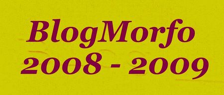 LOGOBLOGMORFO0809