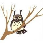 chouette sur un arbre