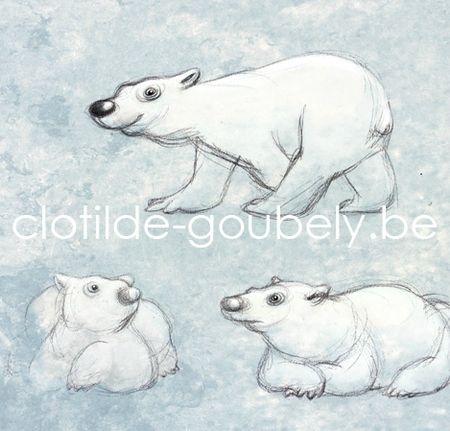 ours-polaire
