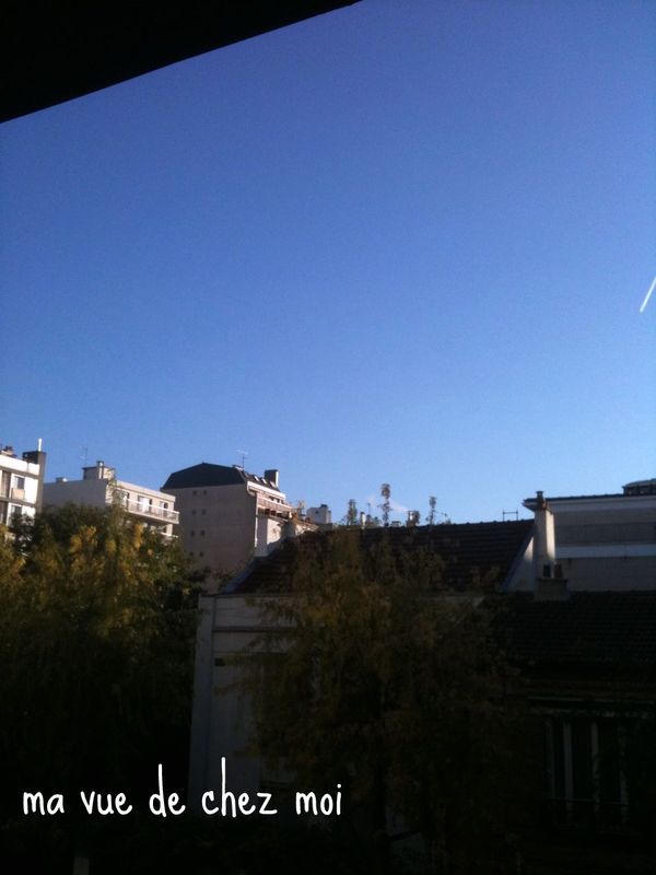 Ma vue de chez moi ! - une parisienne à Vincennes - blog Ma vue de chez moi ! - une parisienne à Vincennes - blog