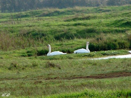 Photo_969