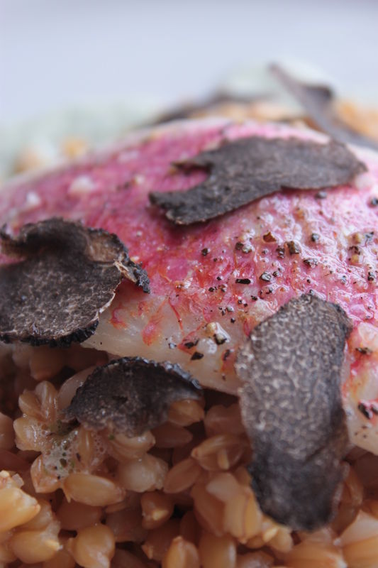 Rougets confits, petit épeautre et truffe noire
