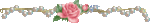 50086074_p