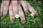 DSC_4624blog