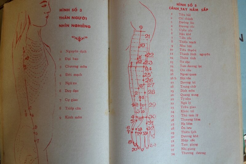 Acupuncture, Cẩm Nang Thực Hành Châm Cứu, 针灸大成, LIRES VIETNAMIEN,