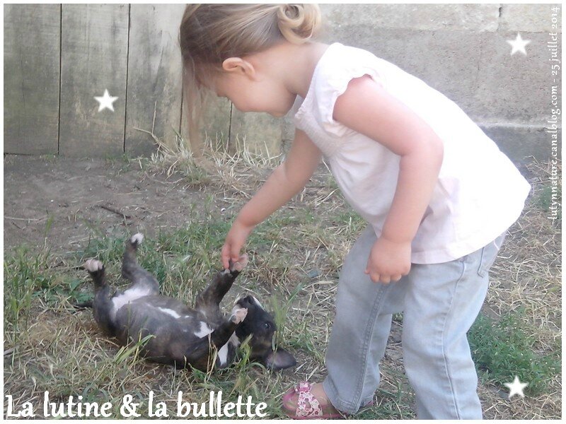 lutine et bulette 25 juill 2014