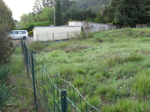 Photos_chemin_le_06