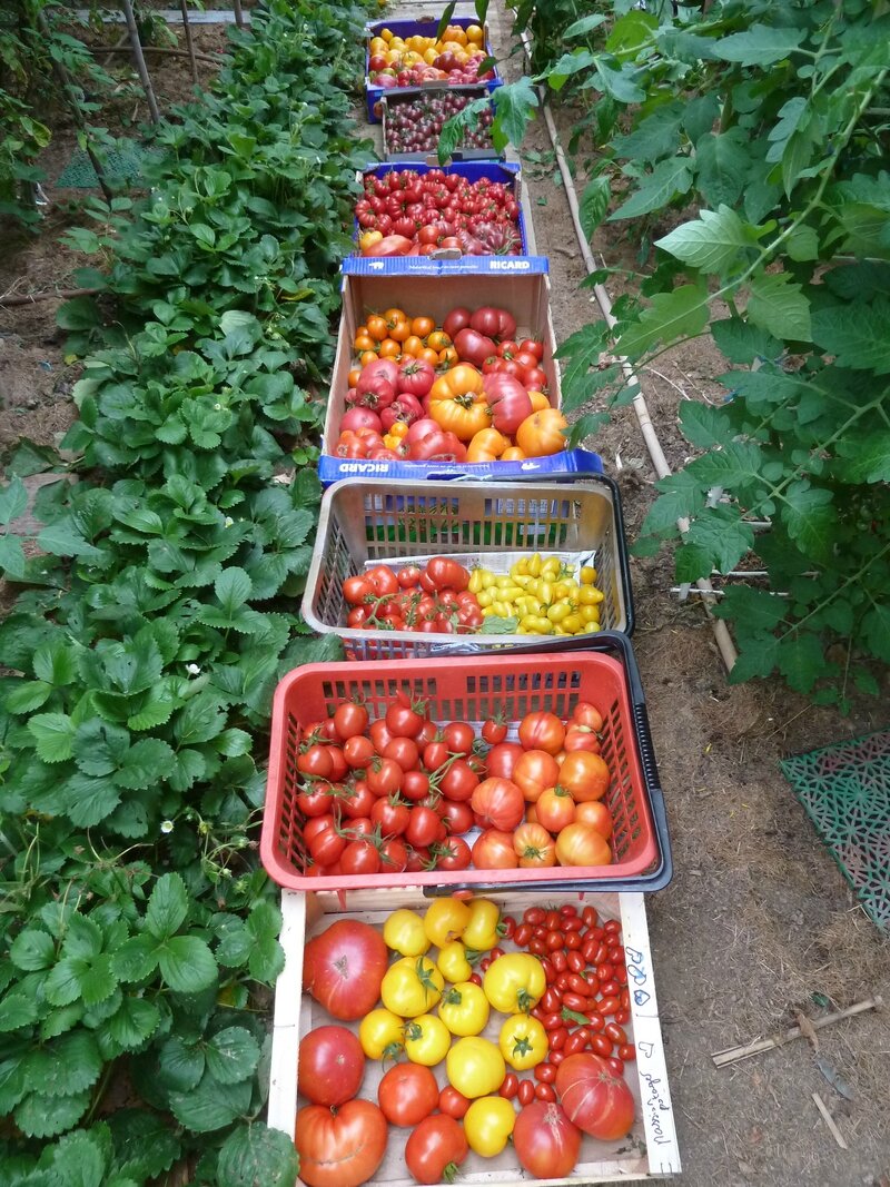 C mars 2014 page 2 passion potager