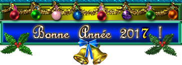 023-gif-bandeau-bonne-annee-2017-guirlande-houx