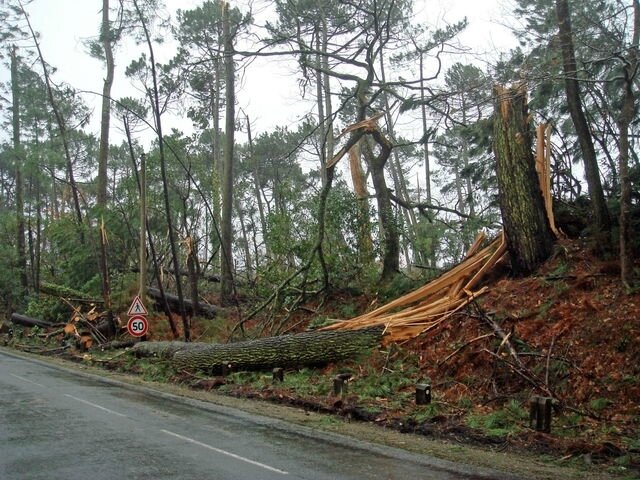 Photo-degats-vents-tempete-biscarosse-plage-chateau-eauXXV
