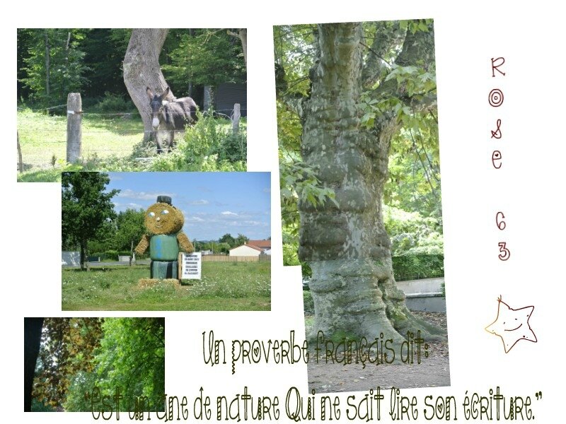 Bonne journée à vous qui passez par-làRose63