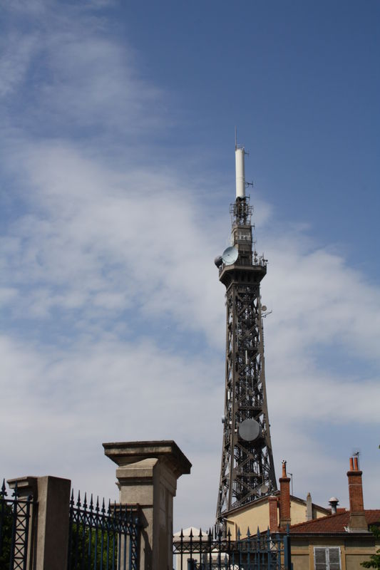 Lyon_529