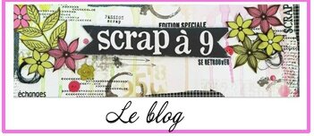 crop pierrefeu scrap9