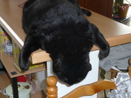 2012 06 16 P1050089