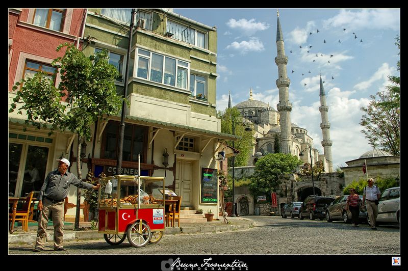 MOSQUEE_BLEUE