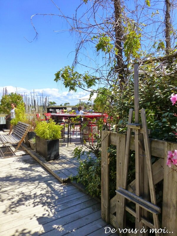 Cap Ferret 11