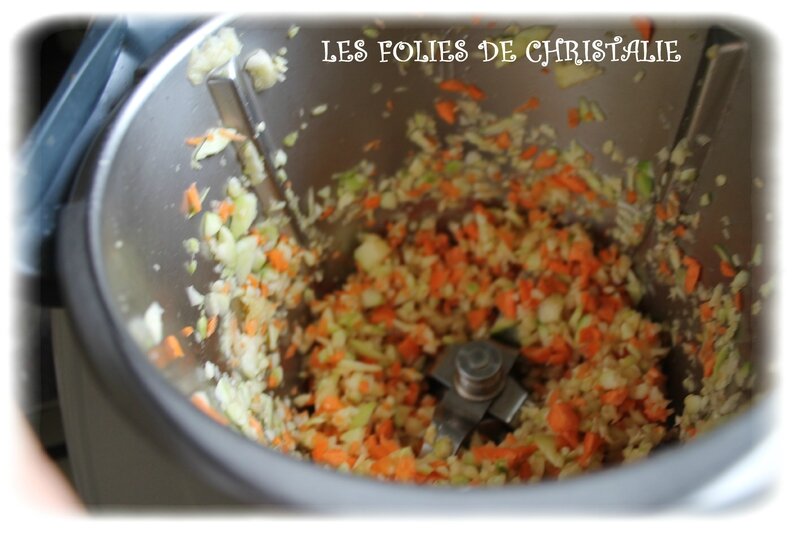 Samoussas courgettes carottes 4