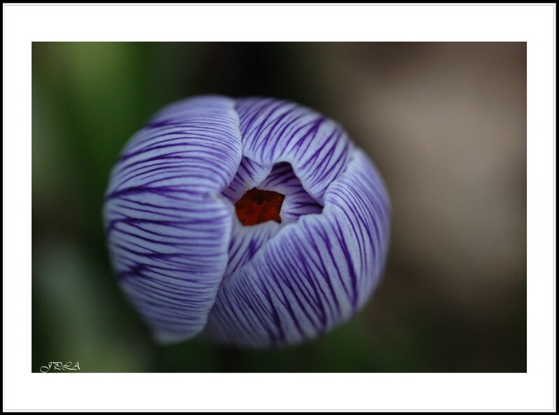 14 03 04 14 02 25 105macro 8957 c