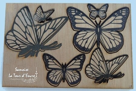 Samoise papillons 1
