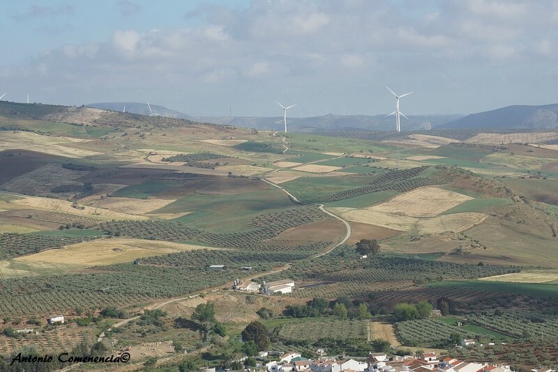 La Campiña