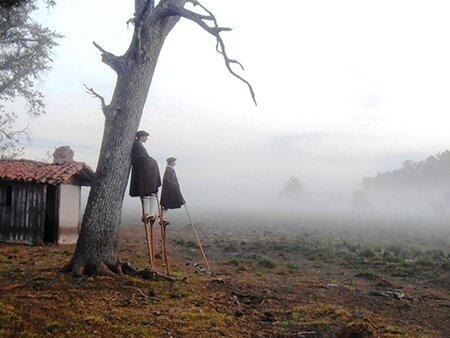bergers-du-seignanx-decort-landes-brume