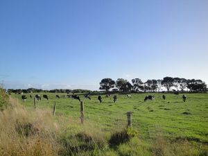 DSC06167