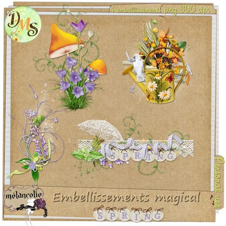 preview_embellissements