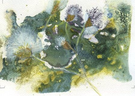 Copie_de_scan003