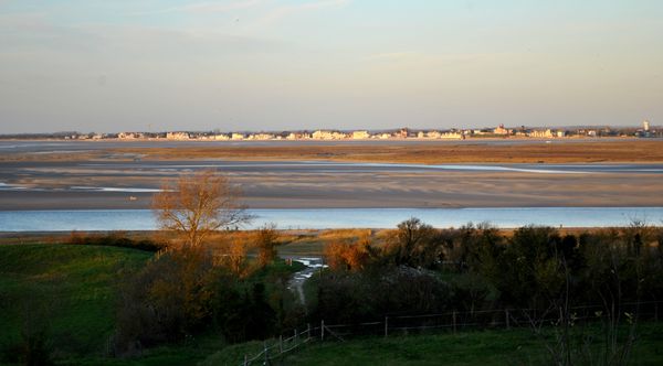 DSC_0774