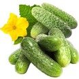 cornichons cornichons