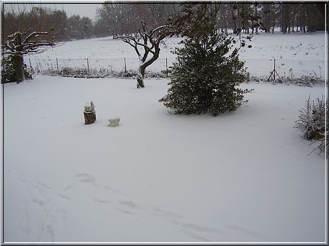 neige3