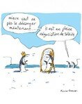 311007_xavier_gorce_les_indegivrable