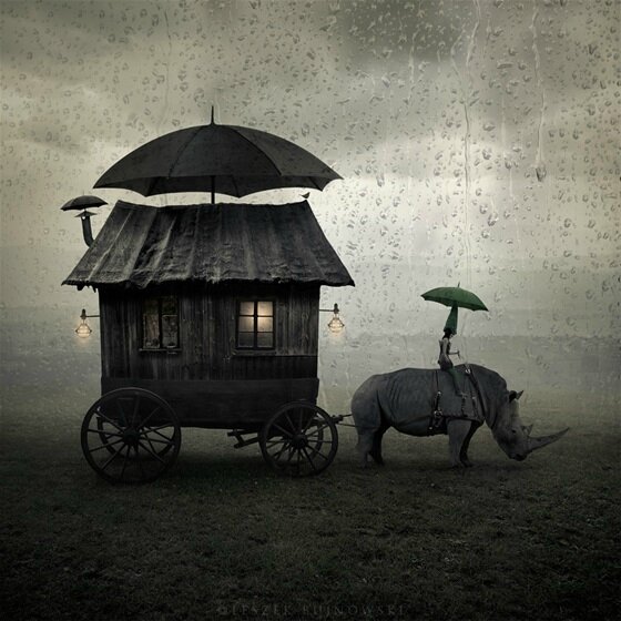 Leszek Bujnowski 3