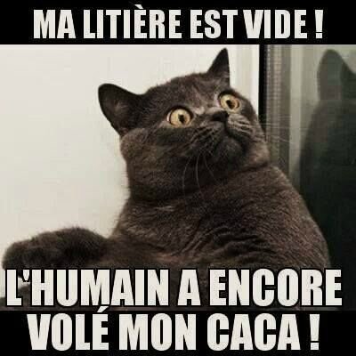 Chat texte gratuit sans inscription