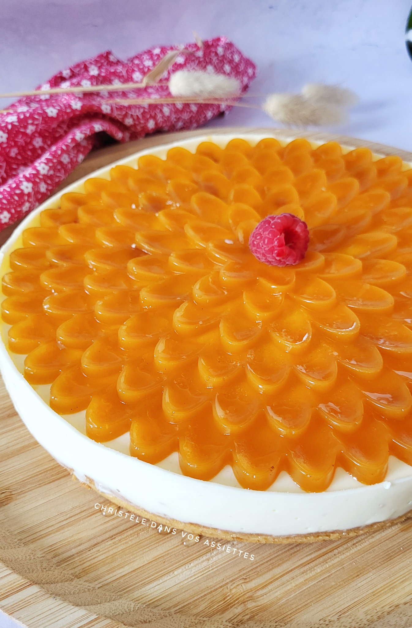 Entremet façon panna cotta au fromage blanc framboises et abricots