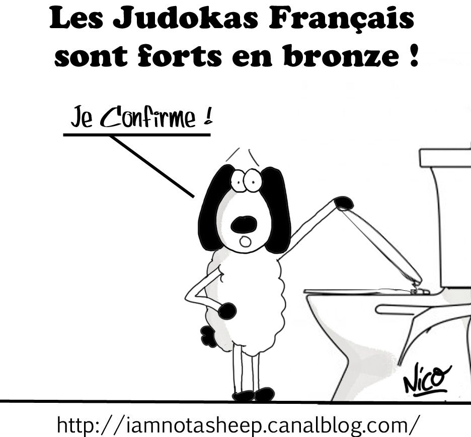 Variae › Choses vues et commentaires consécutifs – par Romain Pigenel