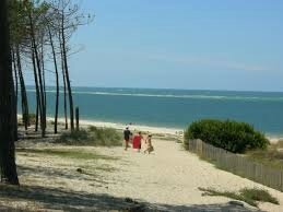images (13)