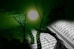 nuitQadr_seydinaalioune