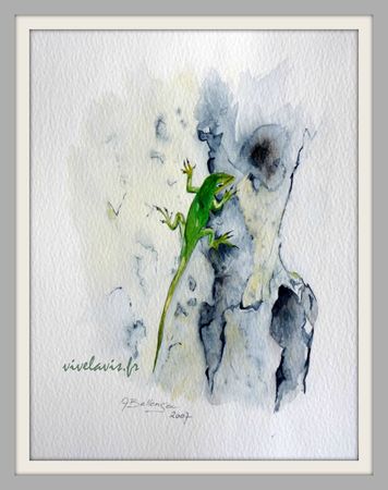 10 - Lézard_Février 2007