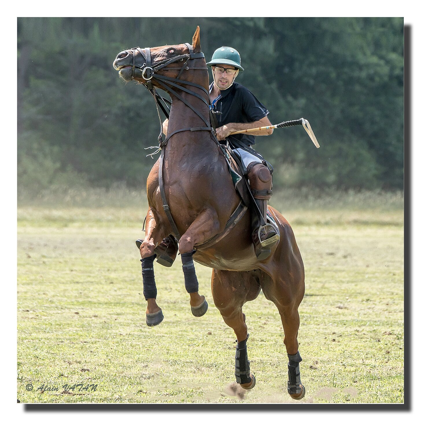 CHEVAL CABRÉ PHOTO CLUB BENESSOIS