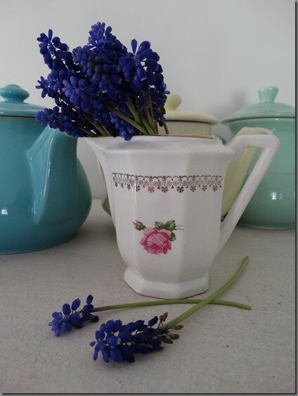 DSC00424 DSC00424