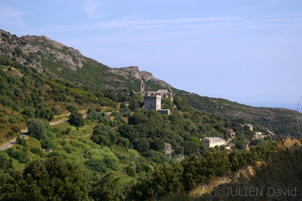 Rogliano