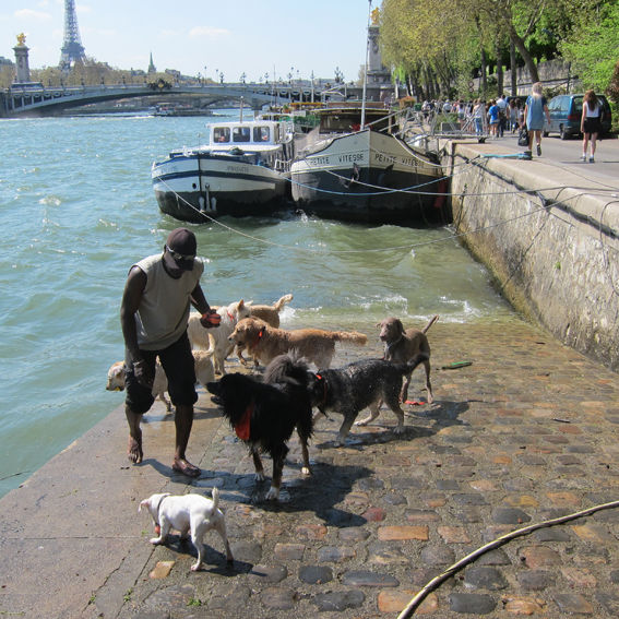 Une plage au poil pour club canin - chez Henriette L. Une plage au poil pour club canin - chez Henriette L.