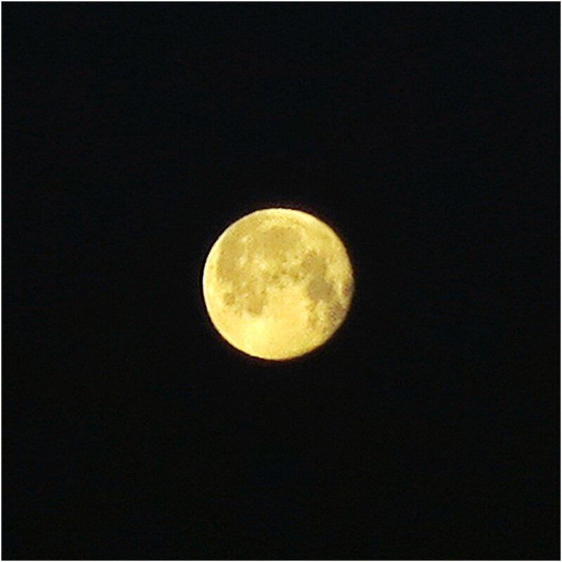 IMG_2961b lune