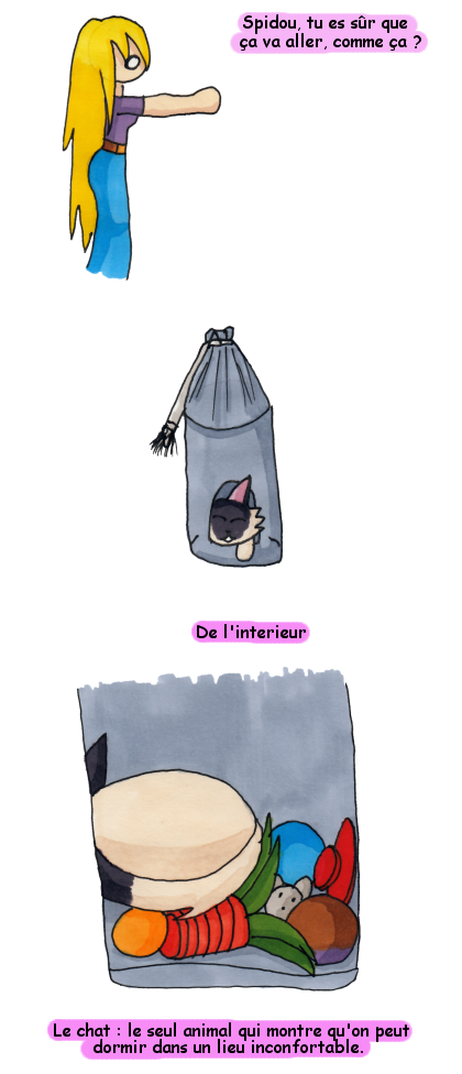 spidouinconfortable